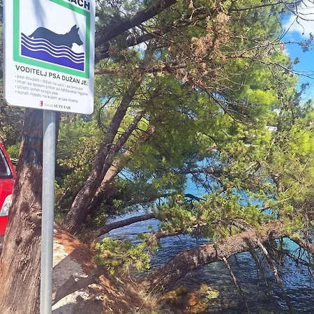With Parking Space Splitska, Brac - 2857 דירה סופטאר